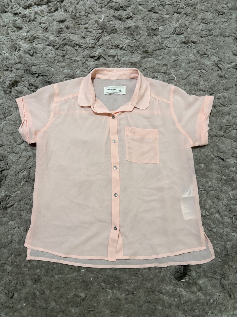 Abercrombie & Fitch Pale Pink Sheer Button-Down Top